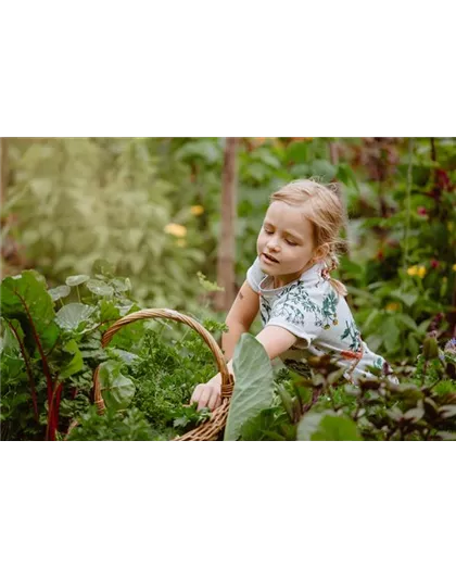 KINDER SPIELERISCH IN DIE ERNTE EINBEZIEHEN