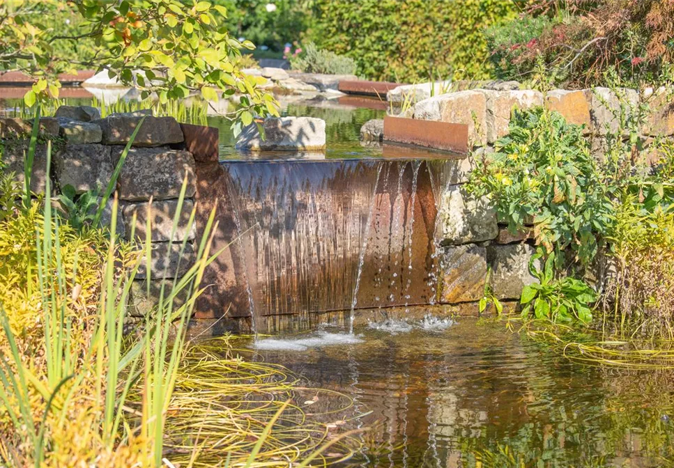 WASSERPFLANZEN FüR DEN GARTENTEICH